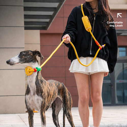 Multifunctional Heavy-Duty Dog Leash with Padded Neck Support