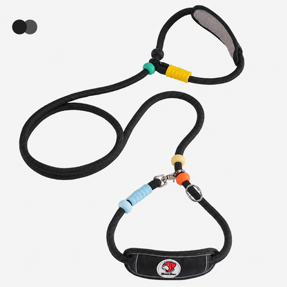 Multifunctional Heavy-Duty Dog Leash with Padded Neck Support