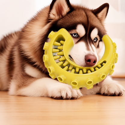 Treat-Dispensing Dental Chew Toy for Dogs