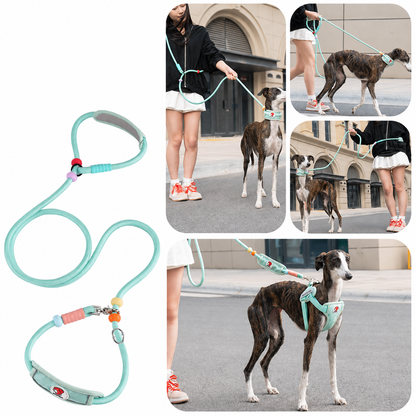 Multifunctional Heavy-Duty Dog Leash with Padded Neck Support