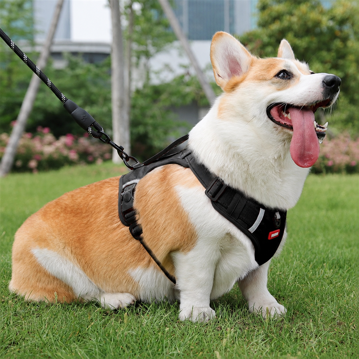 Reflective Adjustable Dog Harness with Control Handle