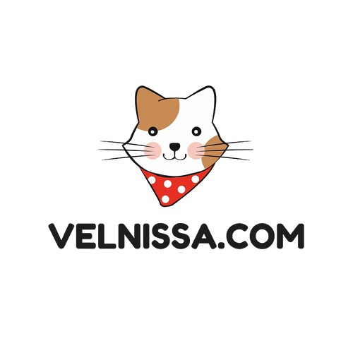 Velnissa