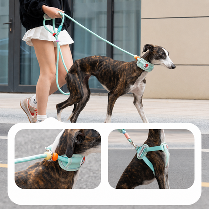 Multifunctional Heavy-Duty Dog Leash with Padded Neck Support