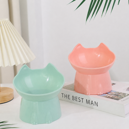 15° Elevated Tilted Pet Bowl