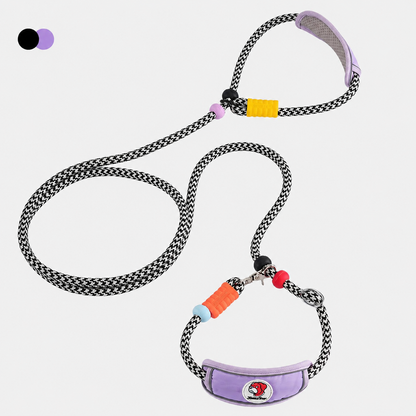 Multifunctional Heavy-Duty Dog Leash with Padded Neck Support