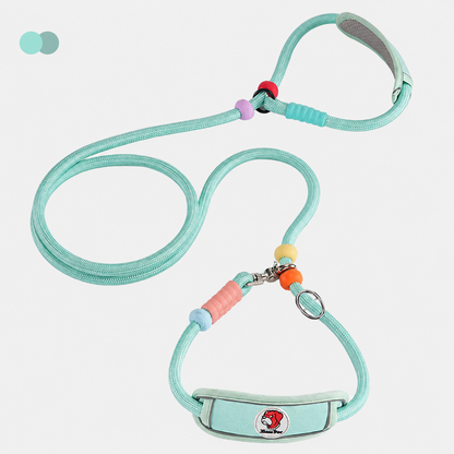 Multifunctional Heavy-Duty Dog Leash with Padded Neck Support
