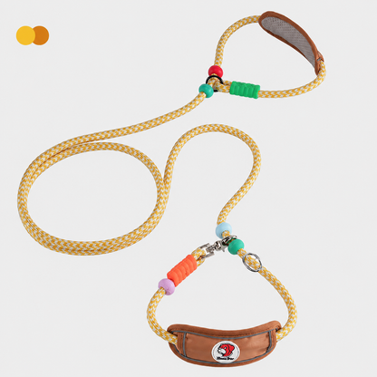 Multifunctional Heavy-Duty Dog Leash with Padded Neck Support